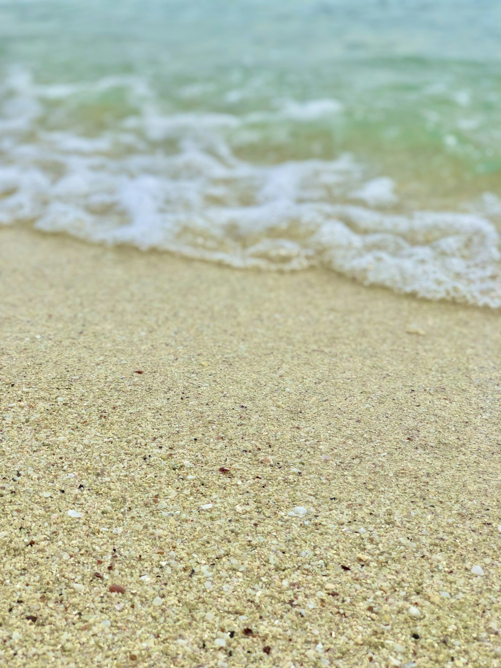 brown sand near body of water during daytime