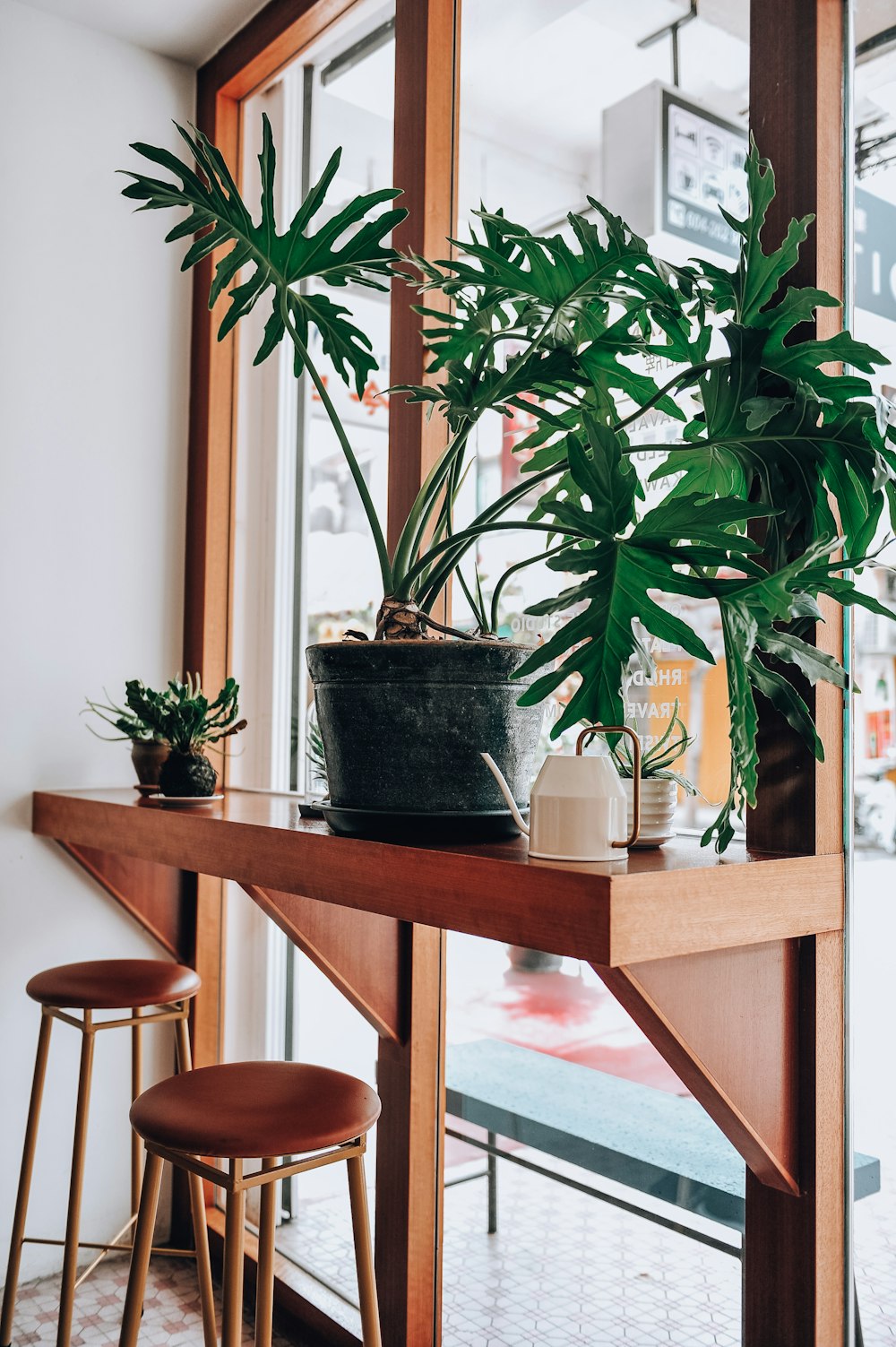 planta verde em vaso na mesa de madeira marrom