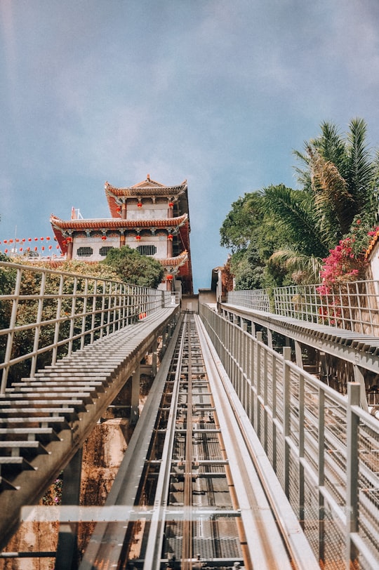 brown wooden bridge near green trees under blue sky during daytime in Penang Malaysia