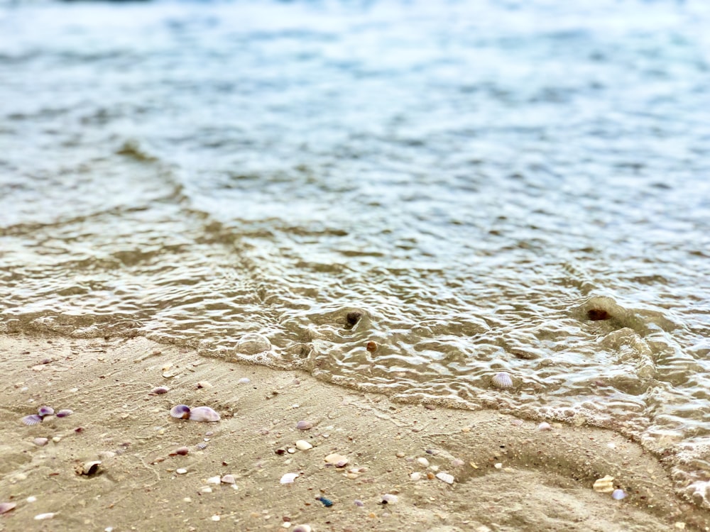 brown sand on beach during daytime