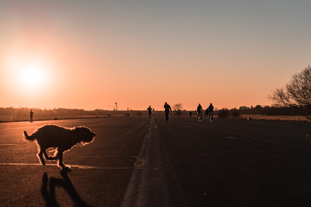 people walking on the street during sunset