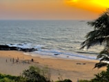 people on beach during sunset