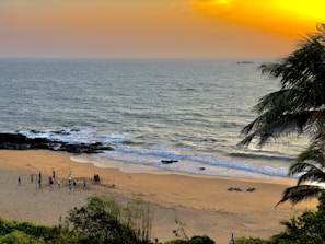 people on beach during sunset