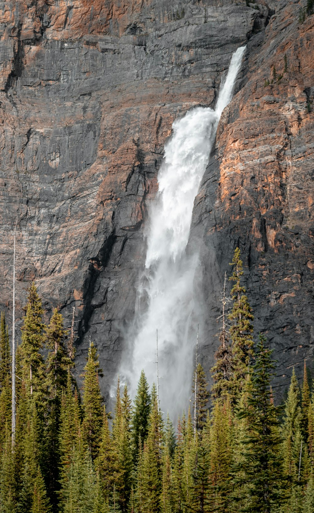 waterfalls in the middle of forest during daytime