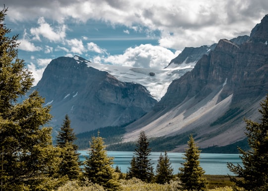 green pine trees near snow covered mountain during daytime in Bow Lake Canada