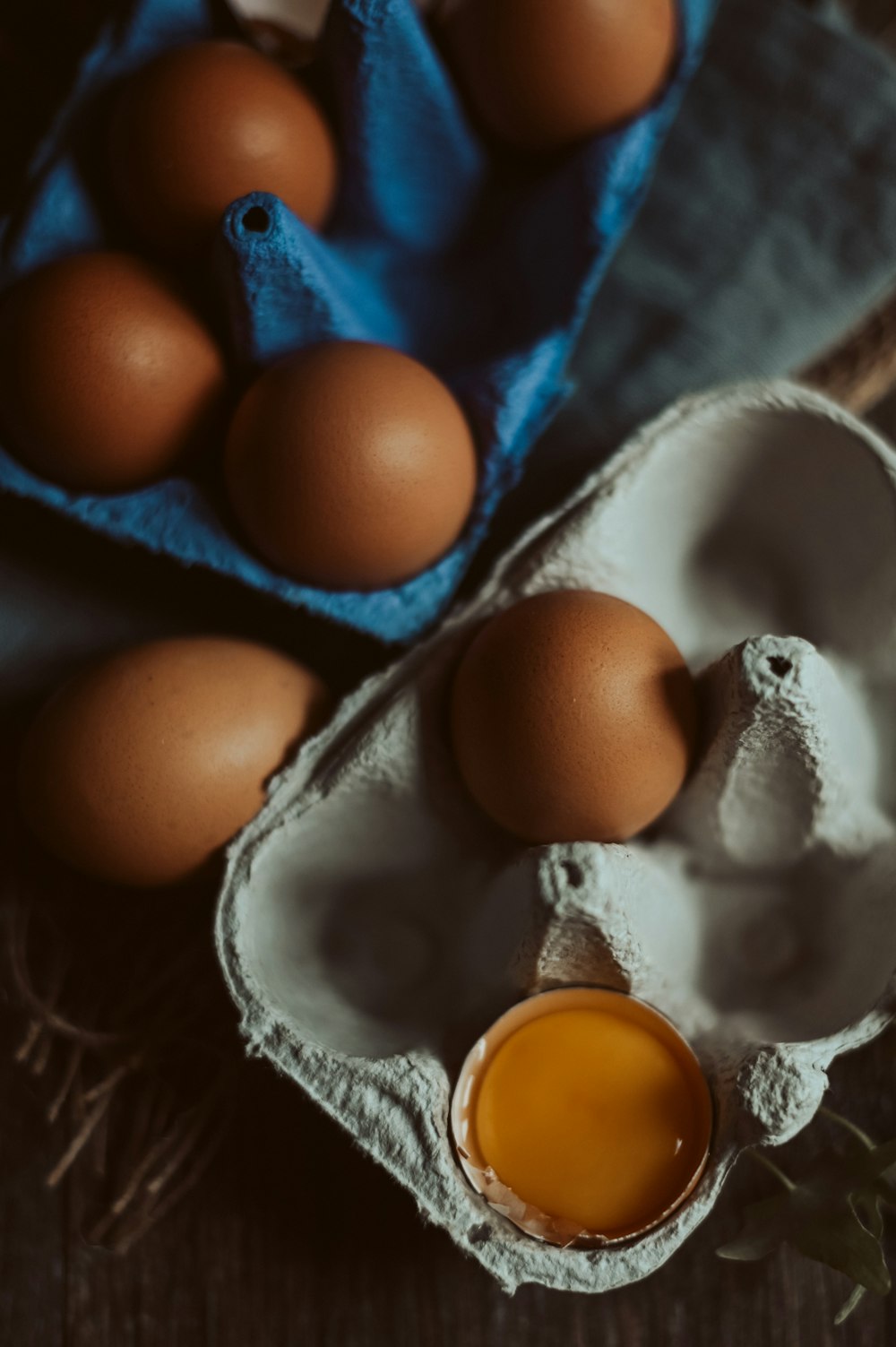 brown egg on white and blue textile