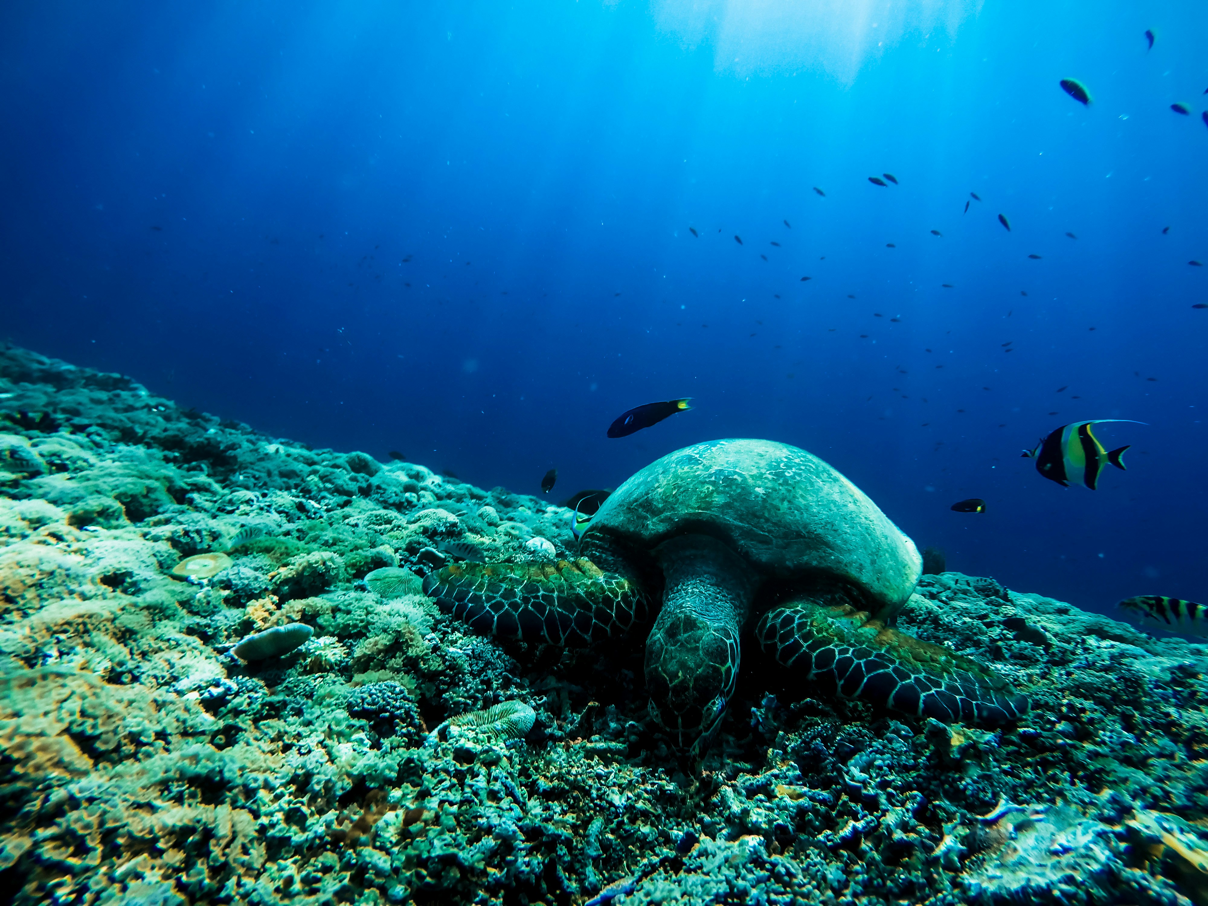 Photo by jakub_chlouba