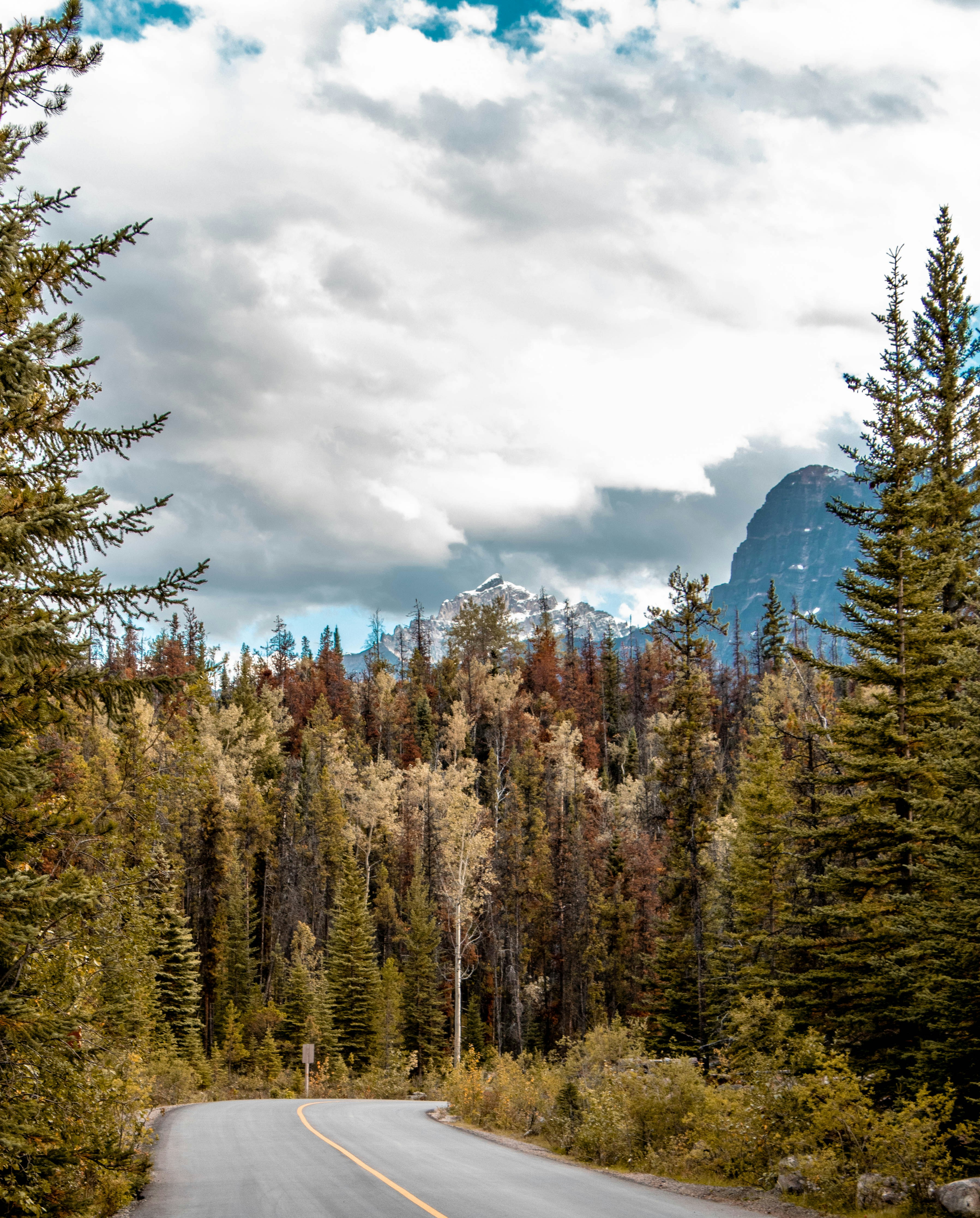 Photo by louispaulin