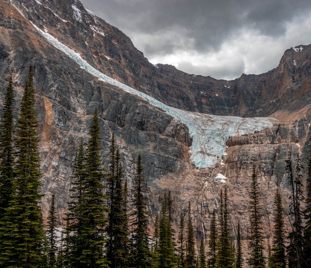 Nature reserve photo spot Jasper Athabasca Falls