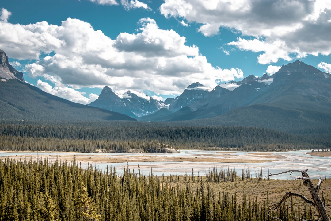 Travel Tips and Stories of Canadian Rockies in Canada