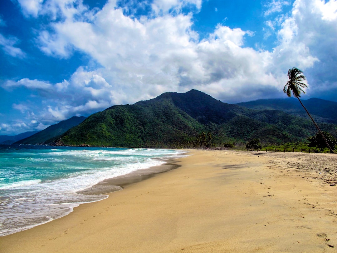 person walking on beach during daytime