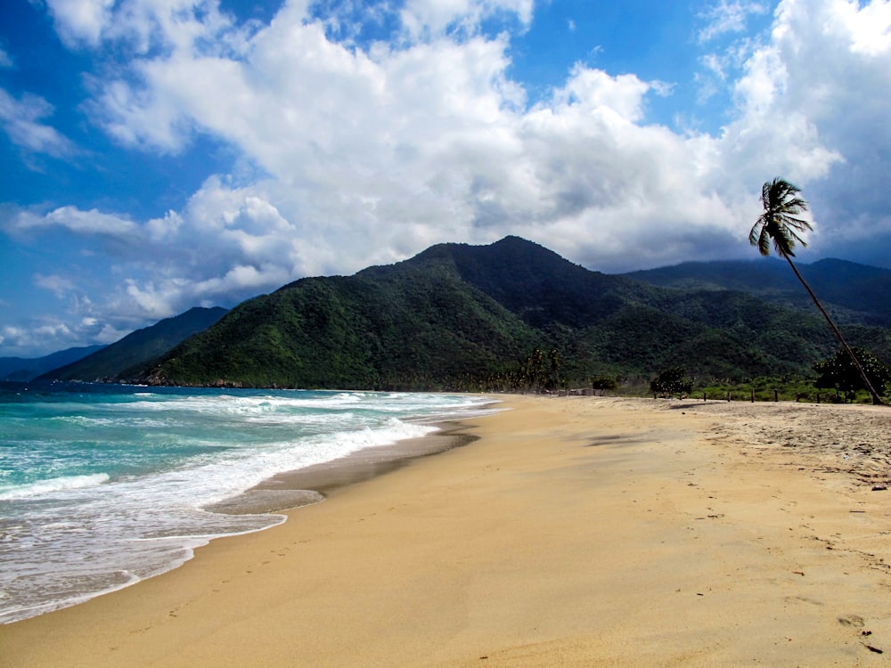 person walking on beach during daytime