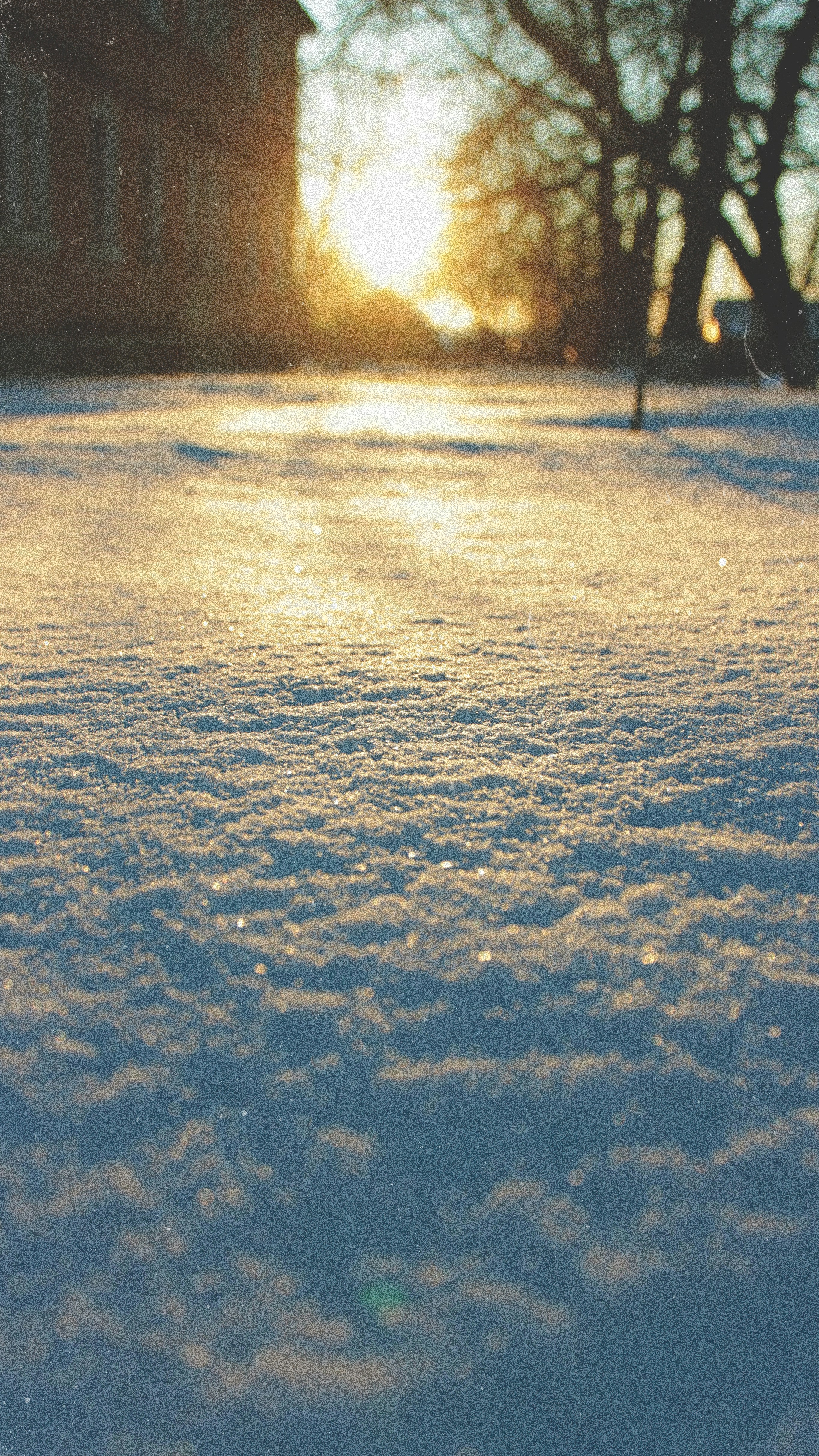 snow covered field during daytime