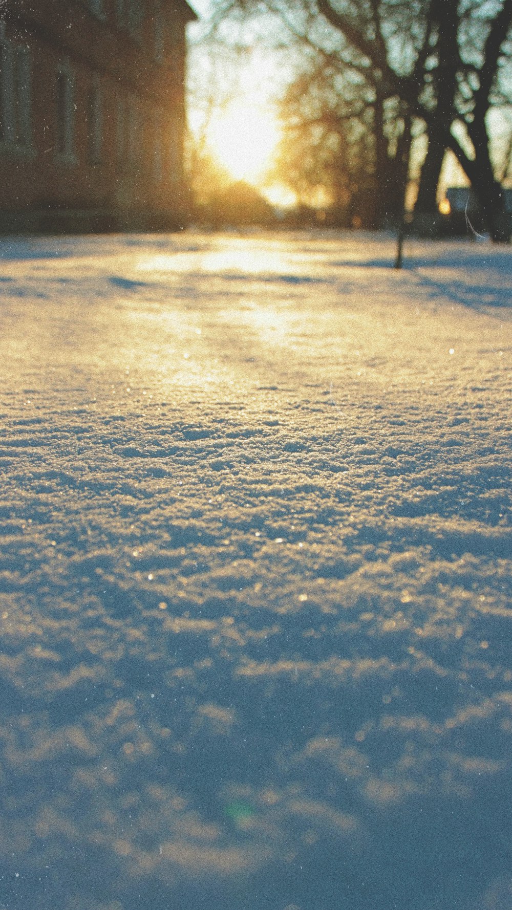 campo innevato durante il giorno