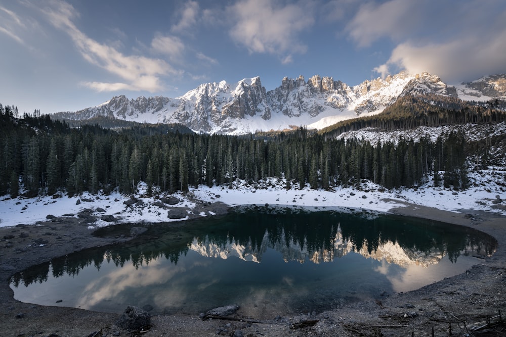 green pine trees near snow covered mountain during daytime