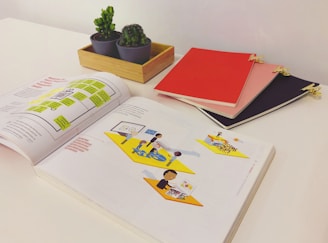 An open book is spread on a white table, showing colorful illustrations and diagrams. Next to it is a wooden tray with two small potted cacti. To the right of the book, there are three closed notebooks in red, pink, and dark purple, each clipped with gold paper clips.