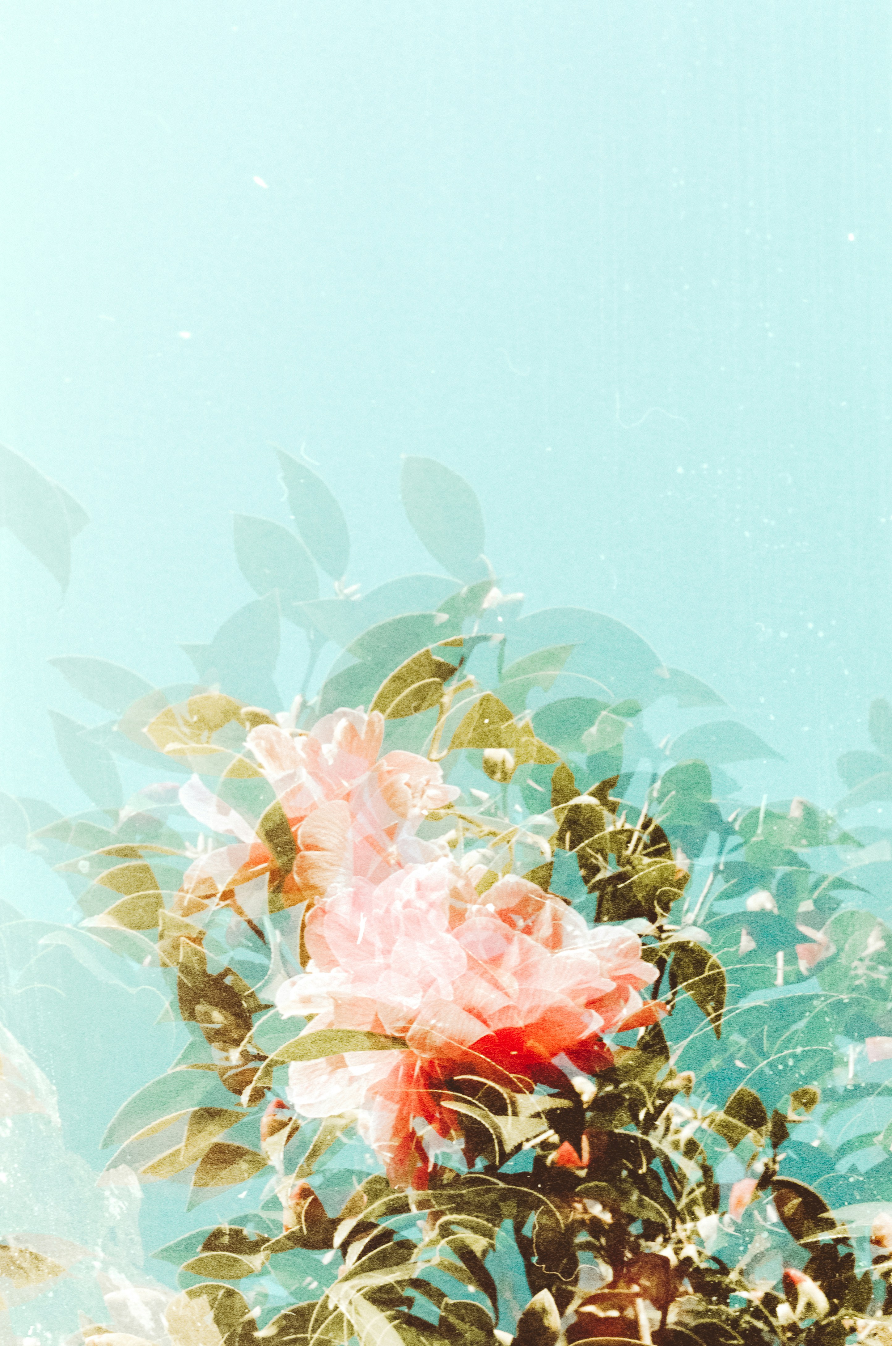 Beacons banner for @seila