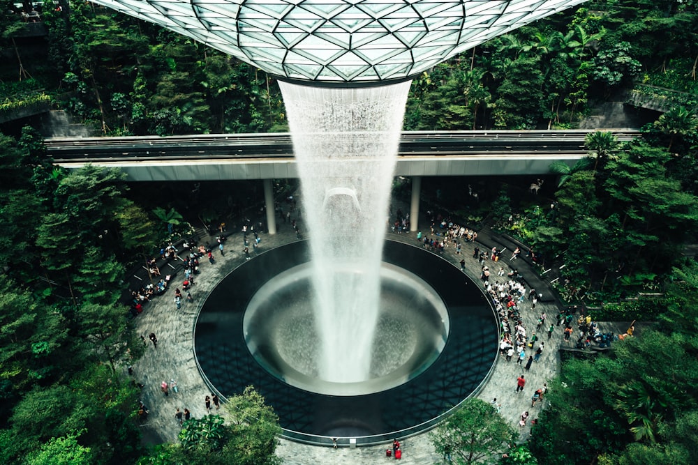 water fountain in the middle of the garden