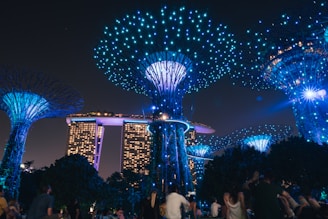 people standing near blue lighted christmas tree during nighttime