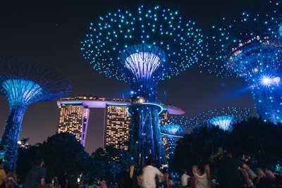 people standing near blue lighted christmas tree during nighttime