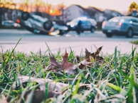 A close-up of a car accident scene with emergency responders, representing motor insurance.