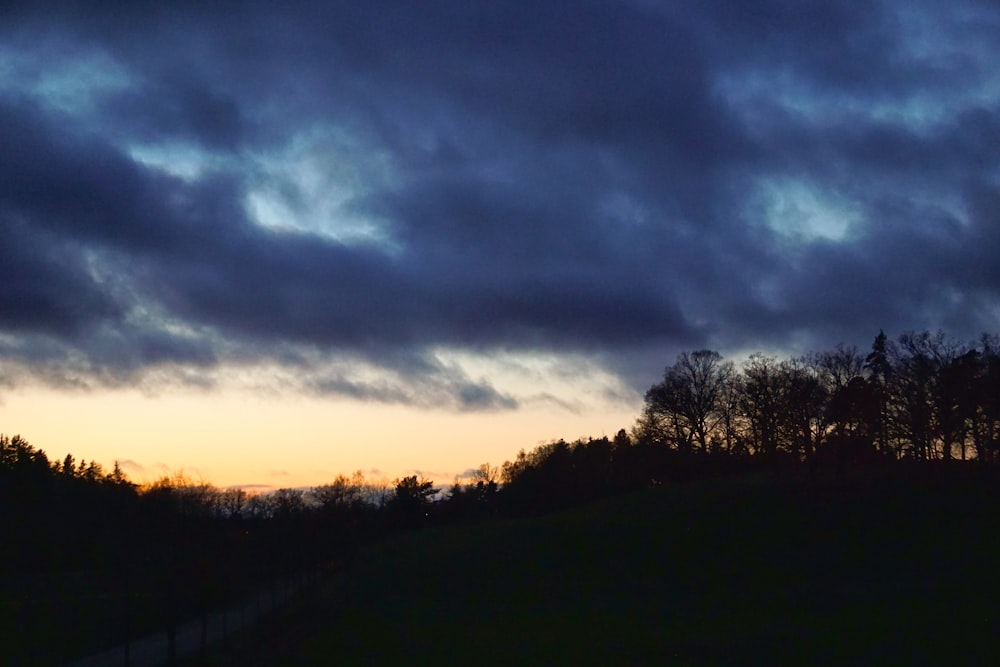 Grüne Rasenwiese unter bewölktem Himmel tagsüber