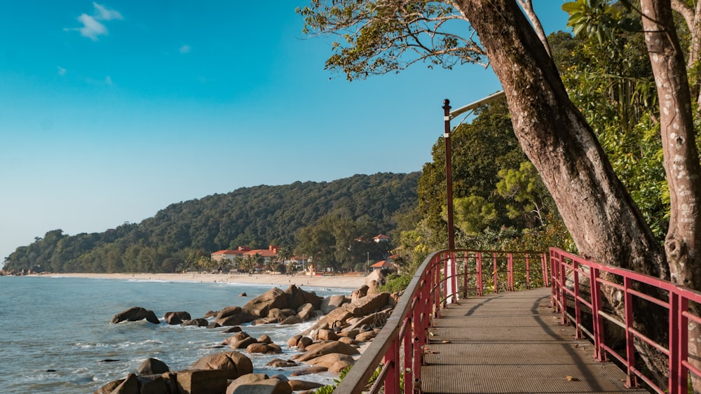 ponte di legno marrone sul mare durante il giorno