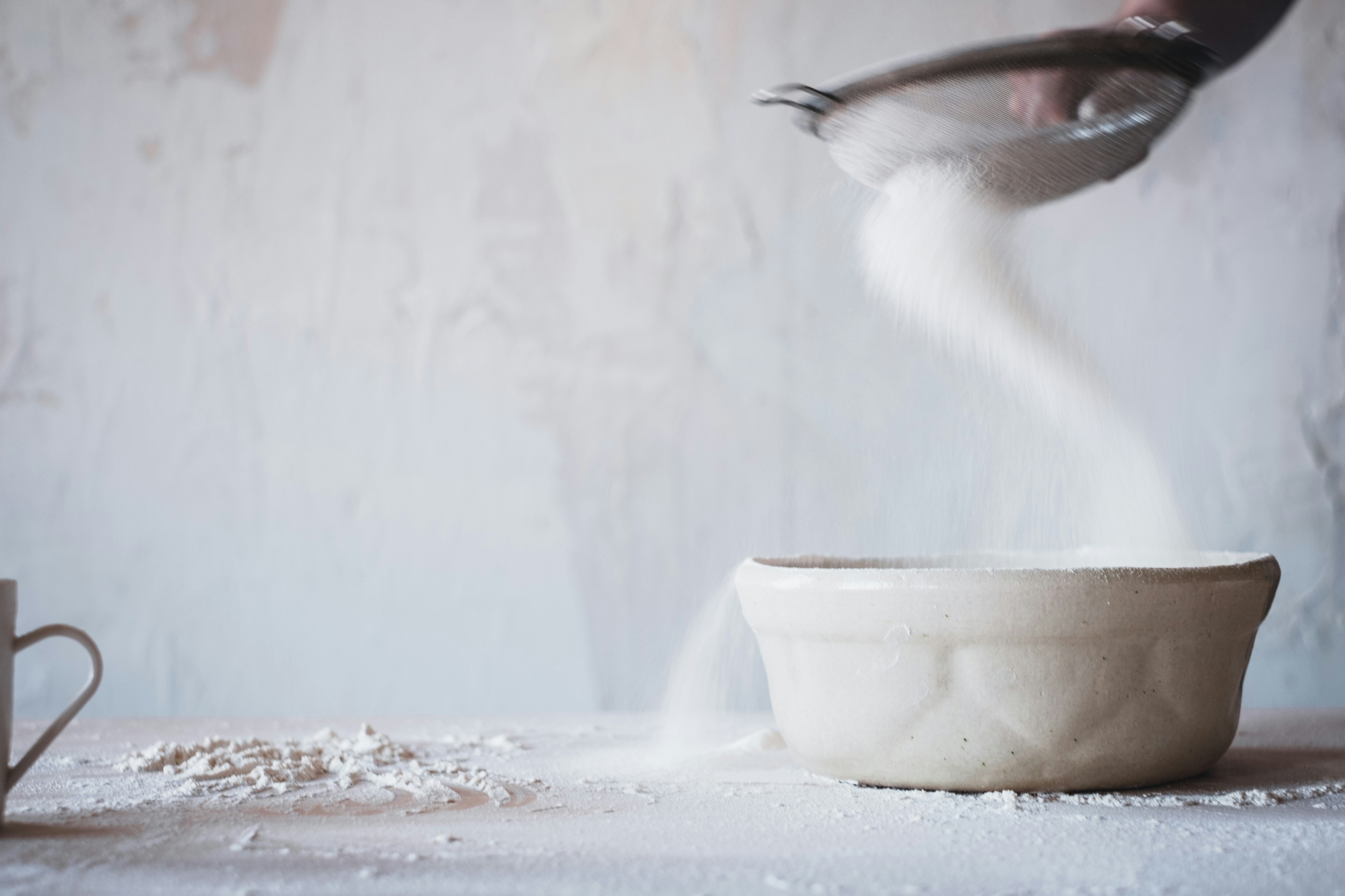 white and black bird on white ceramic bowl