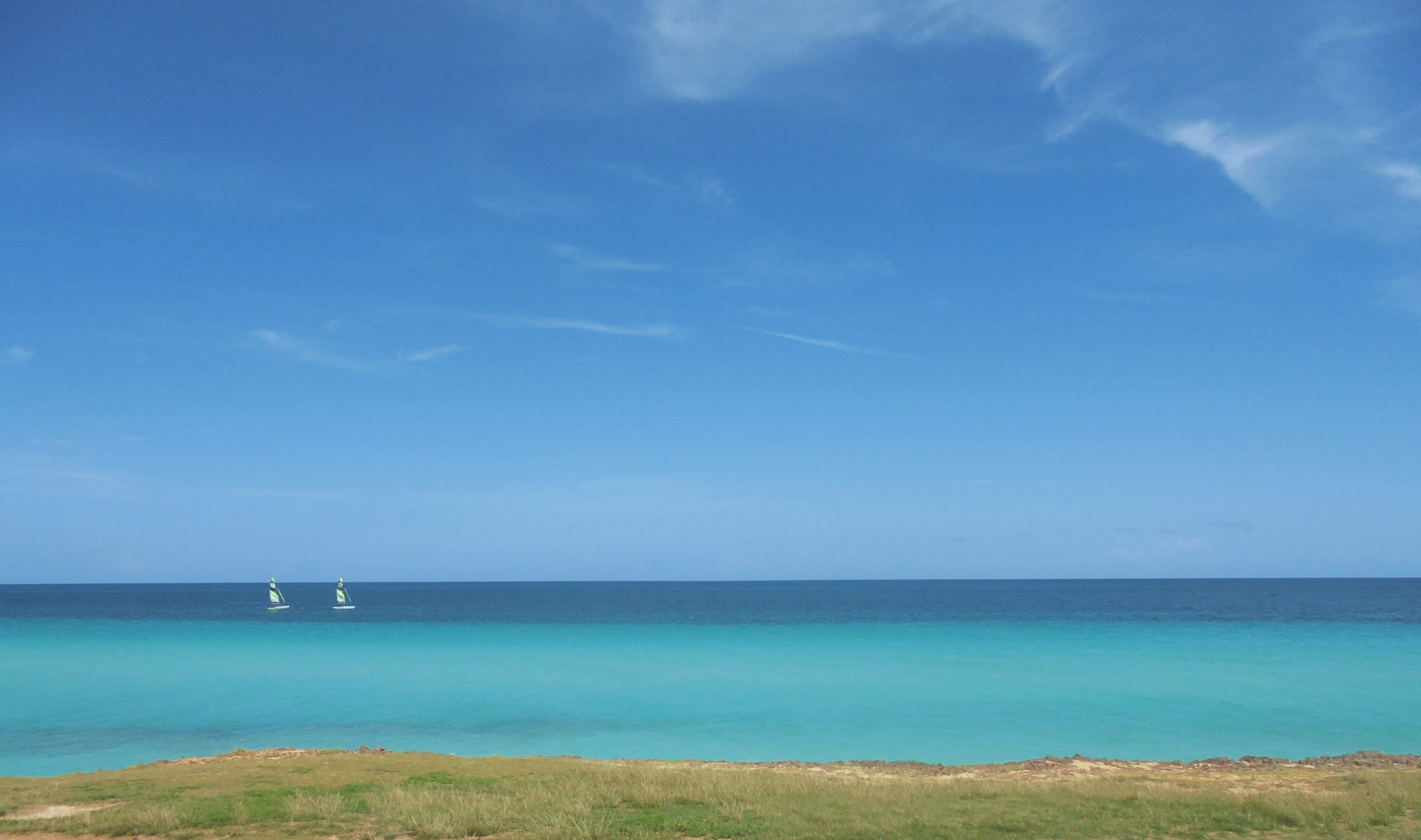 green grass field near body of water under blue sky during daytime