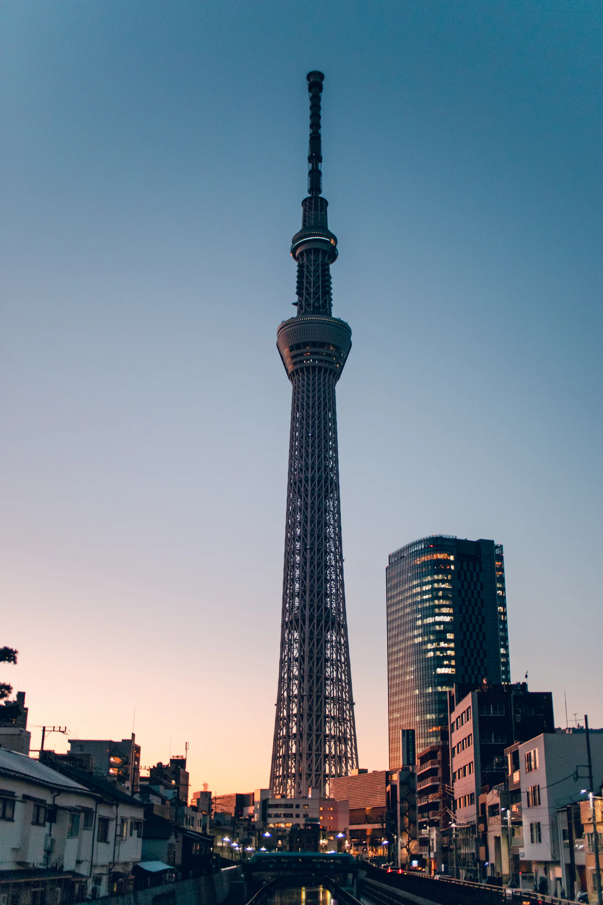 Tokyo Skytree rising over the city