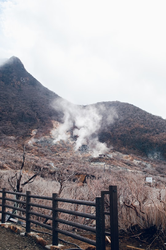 brown wooden fence on brown mountain under white clouds during daytime in Owakudani Japan