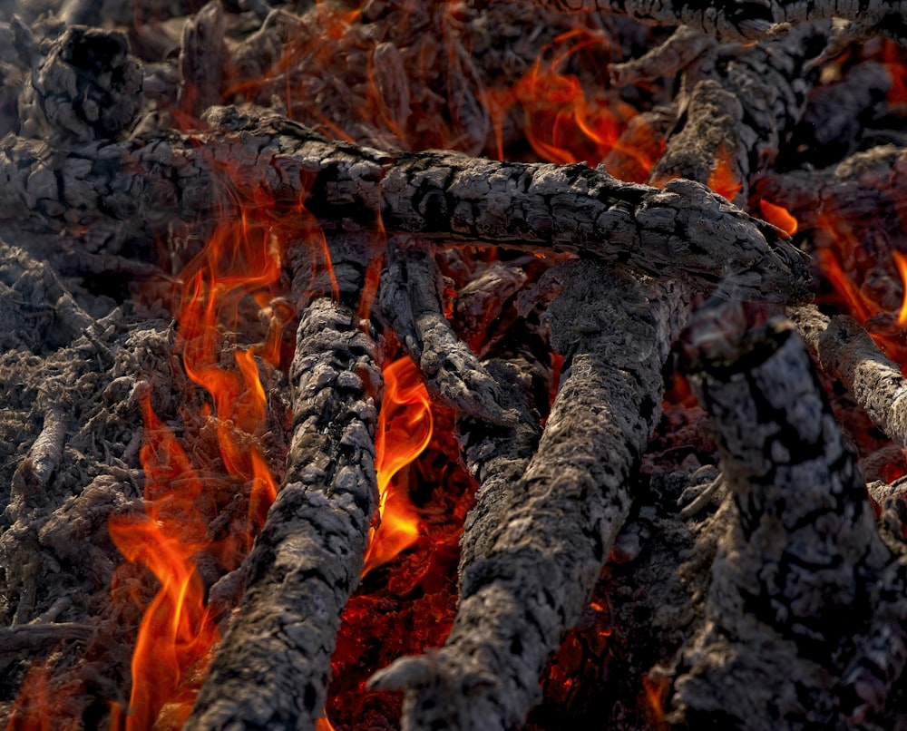 burning woods during night time