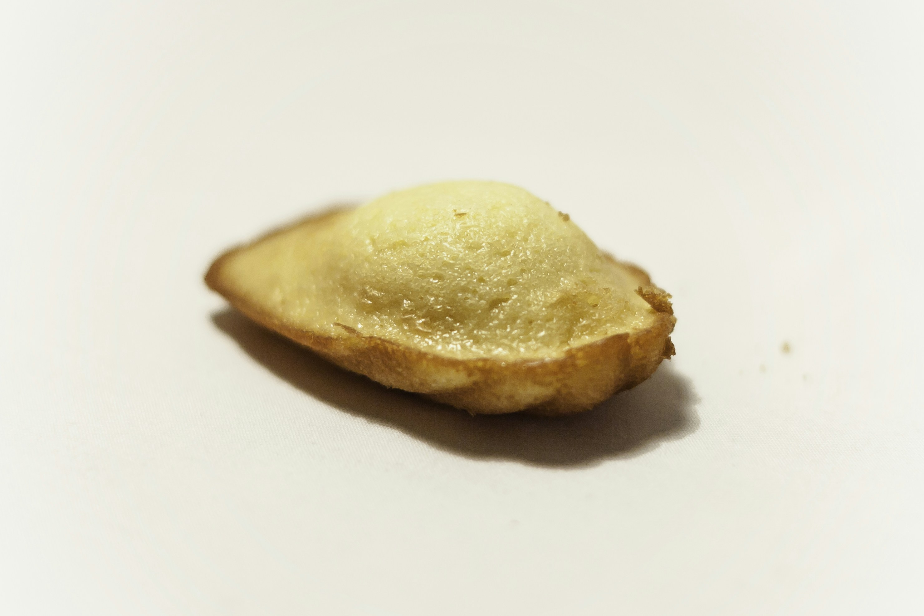 Shell-shaped madeleine cakes dusted with powdered sugar on a white plate, soft morning light