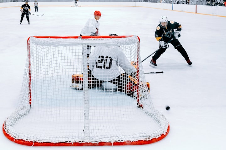 Hockey Goalie