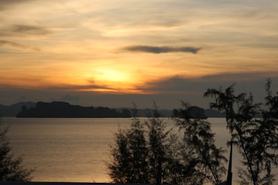 A serene sunset over a calm lagoon with silhouettes of mangroves in Mayotte.