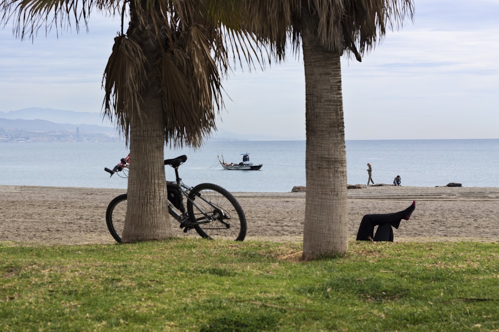 black bicycle beside brown tree trunk on green grass field during daytime