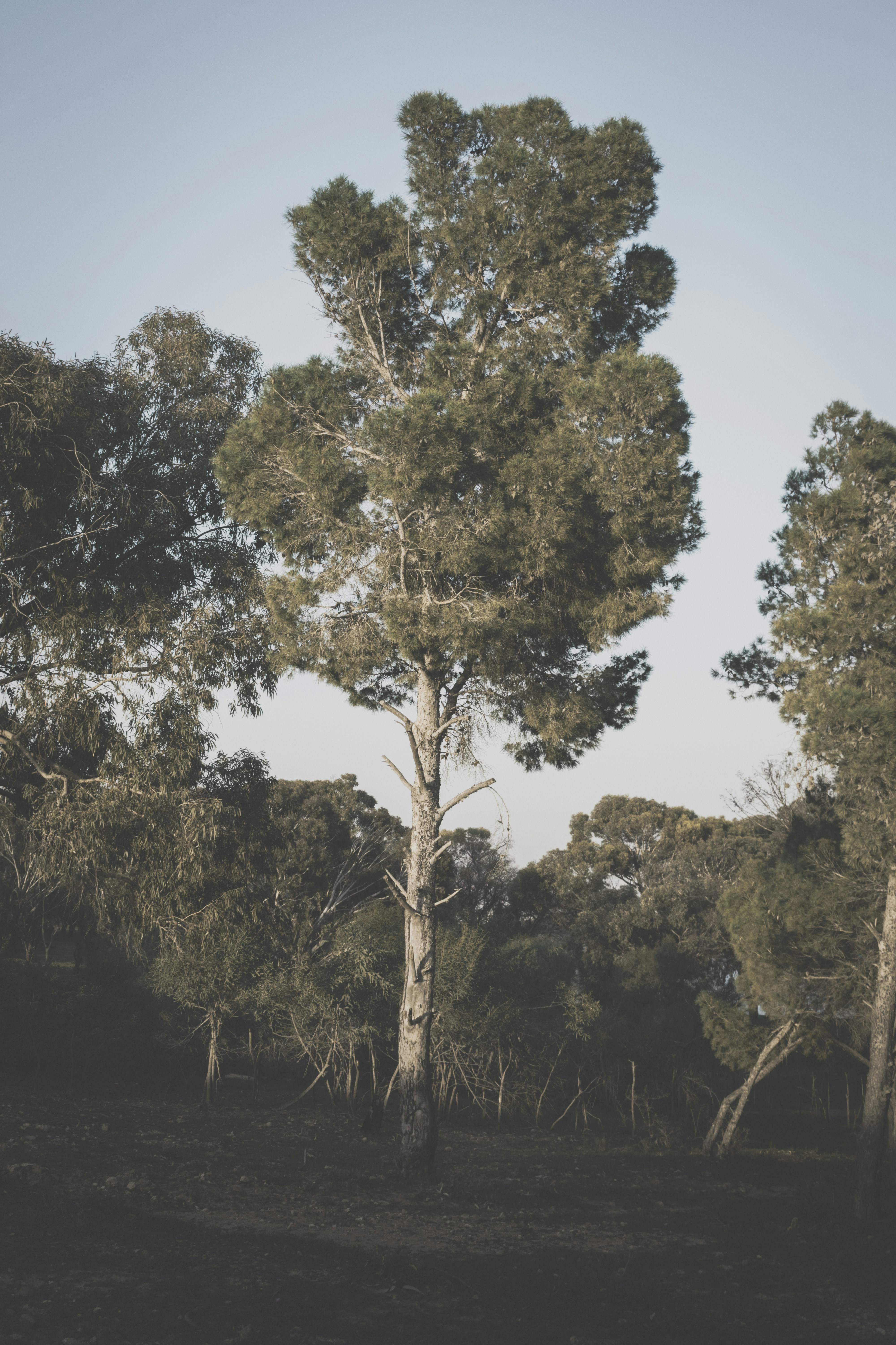 Photo by bilal_ayadi