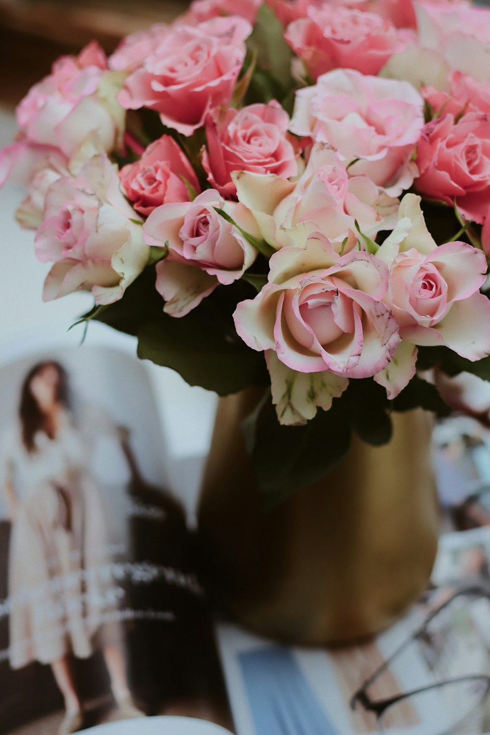 pink roses in tilt shift lens