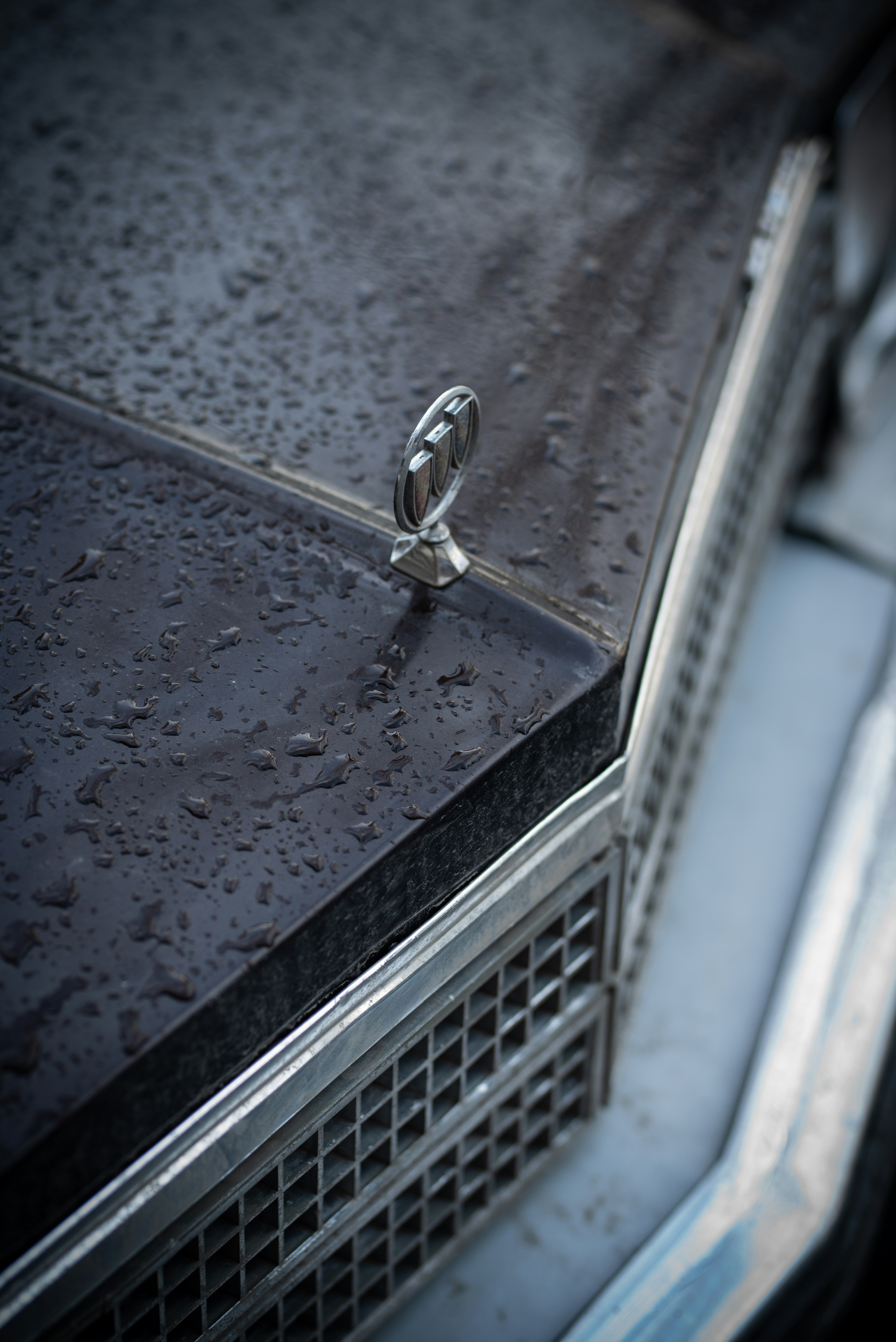 Photo by ardalanhamedani