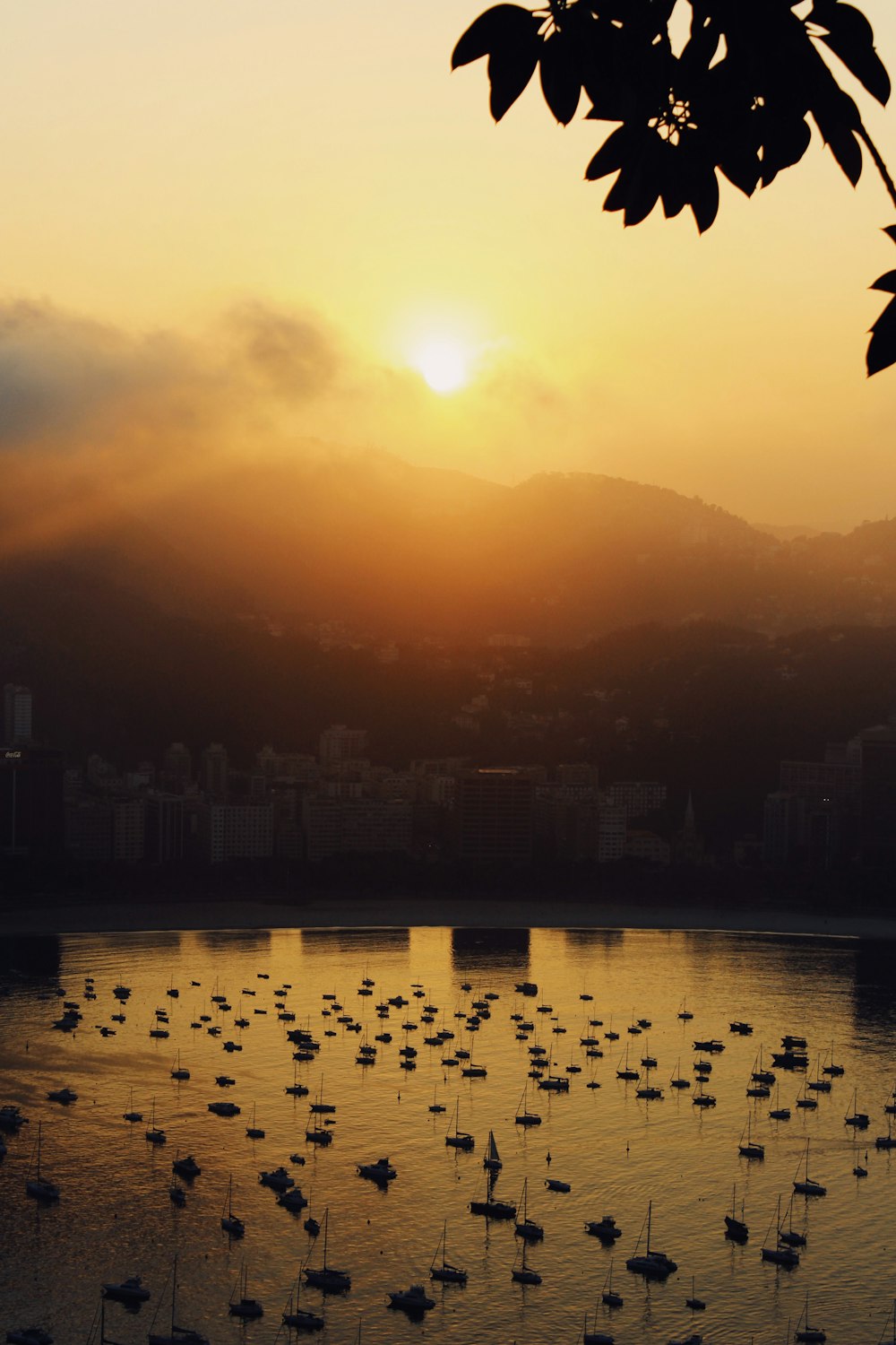 birds flying over the city during sunset