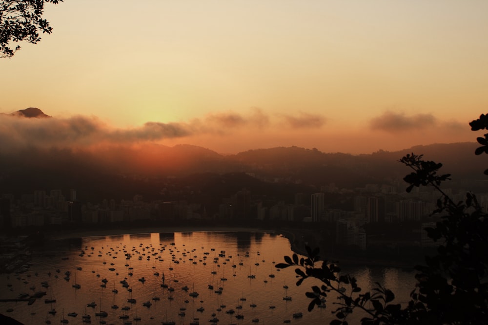 silhouette of birds flying over the lake during sunset