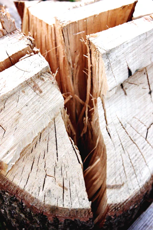 Close-up of a sleek, sturdy firewood splitter with natural wood and metal textures.