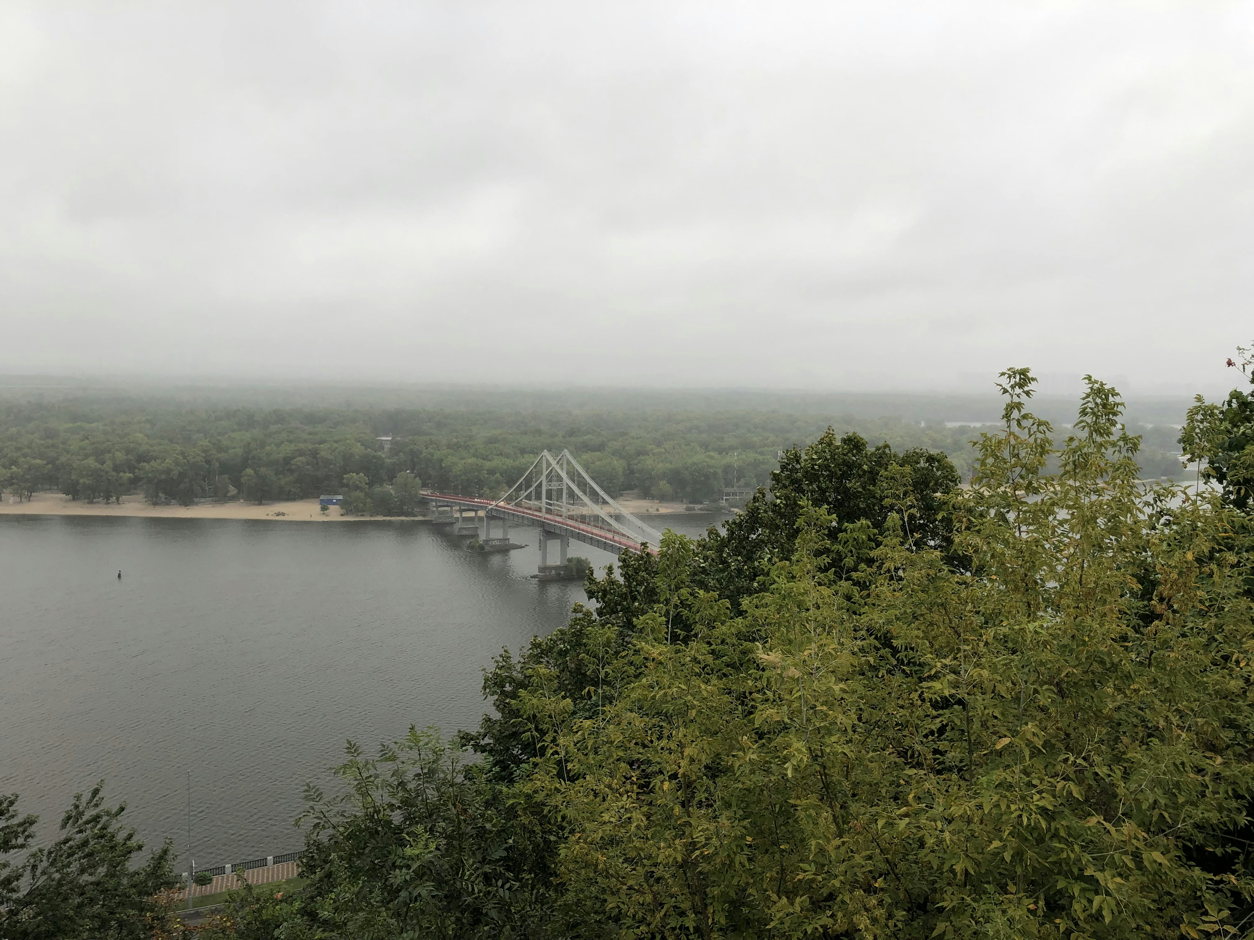 árboles verdes cerca del cuerpo de agua bajo el cielo blanco durante el día