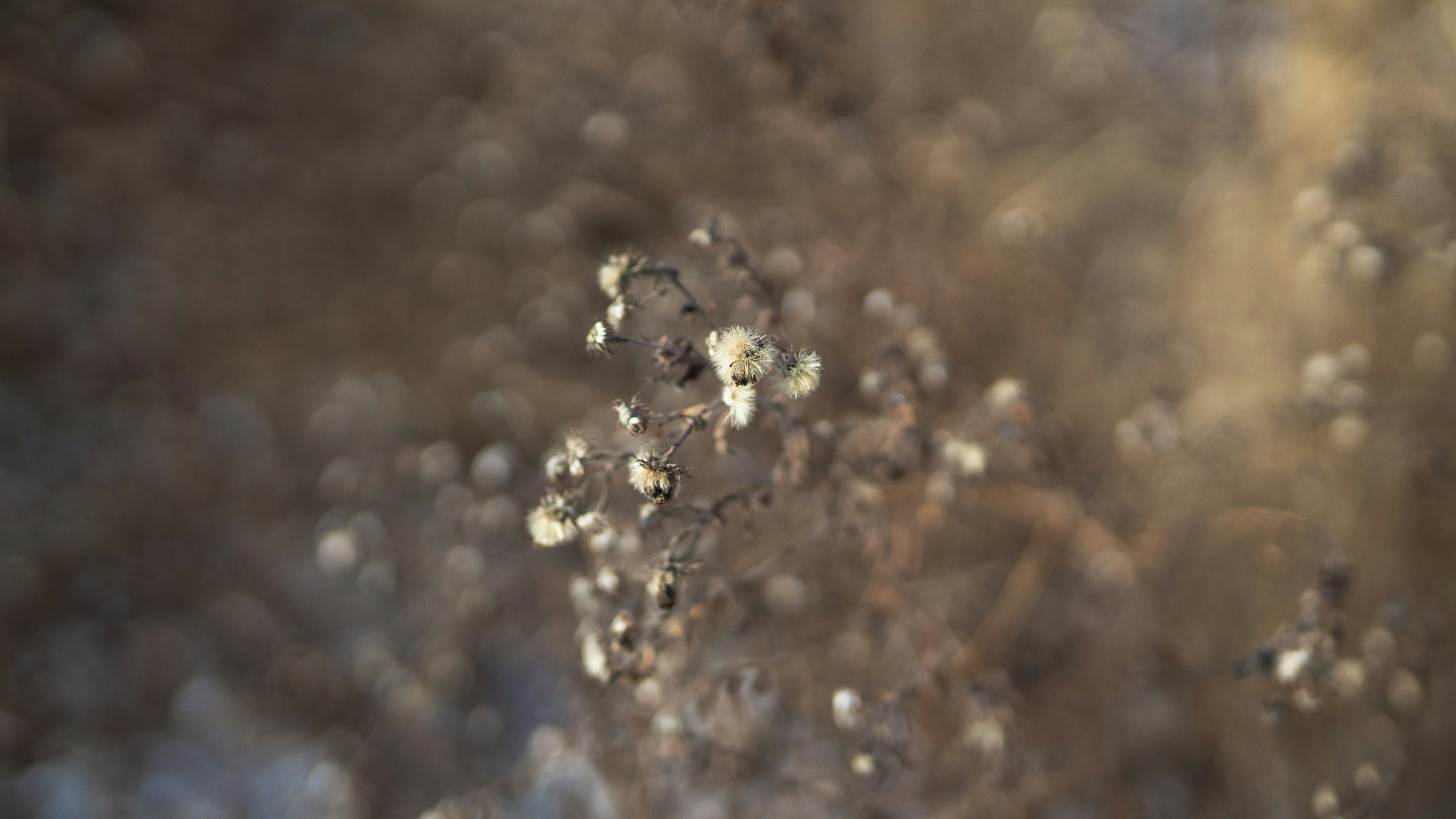 Photo by mariashanina