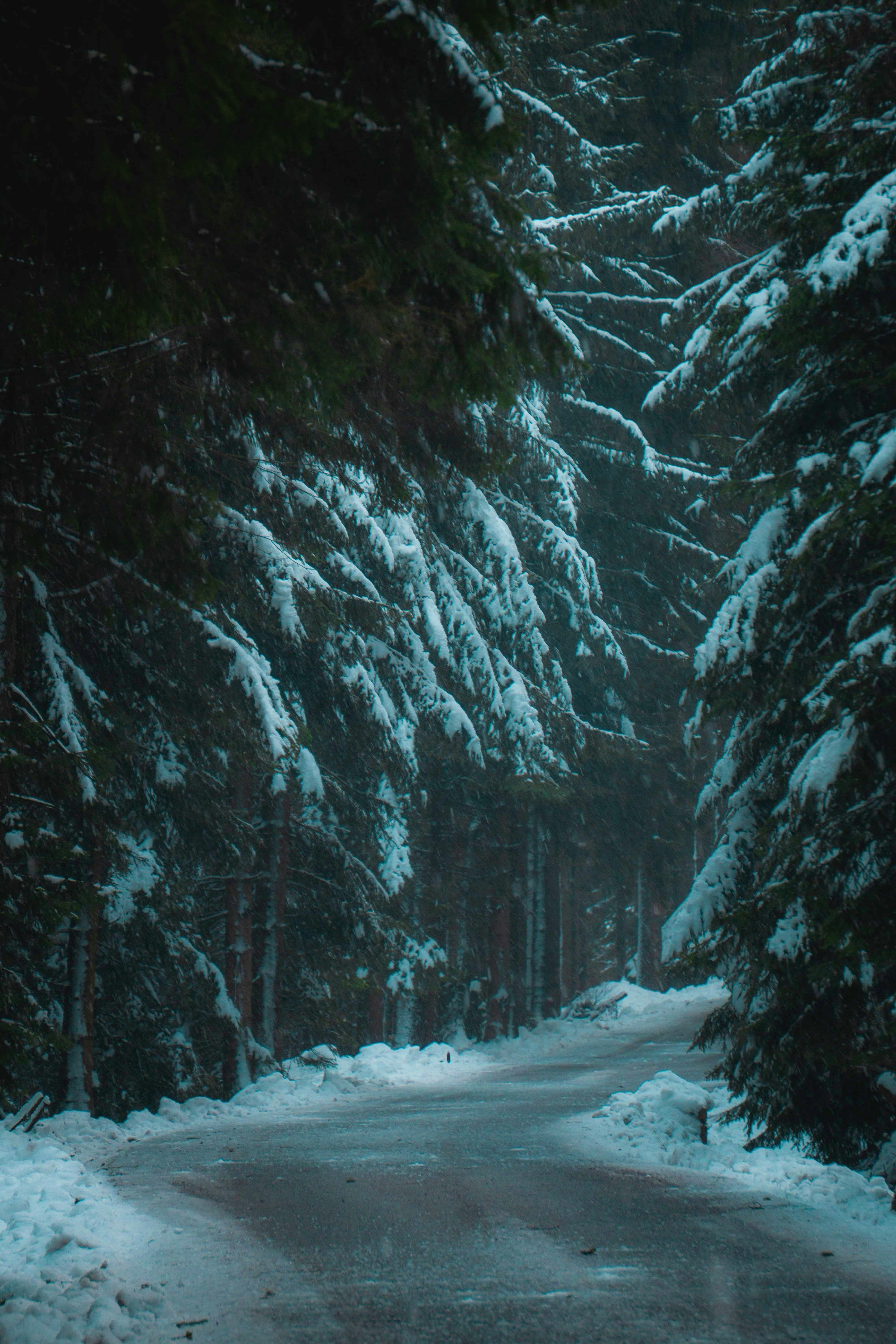 Liberec – Final Summary