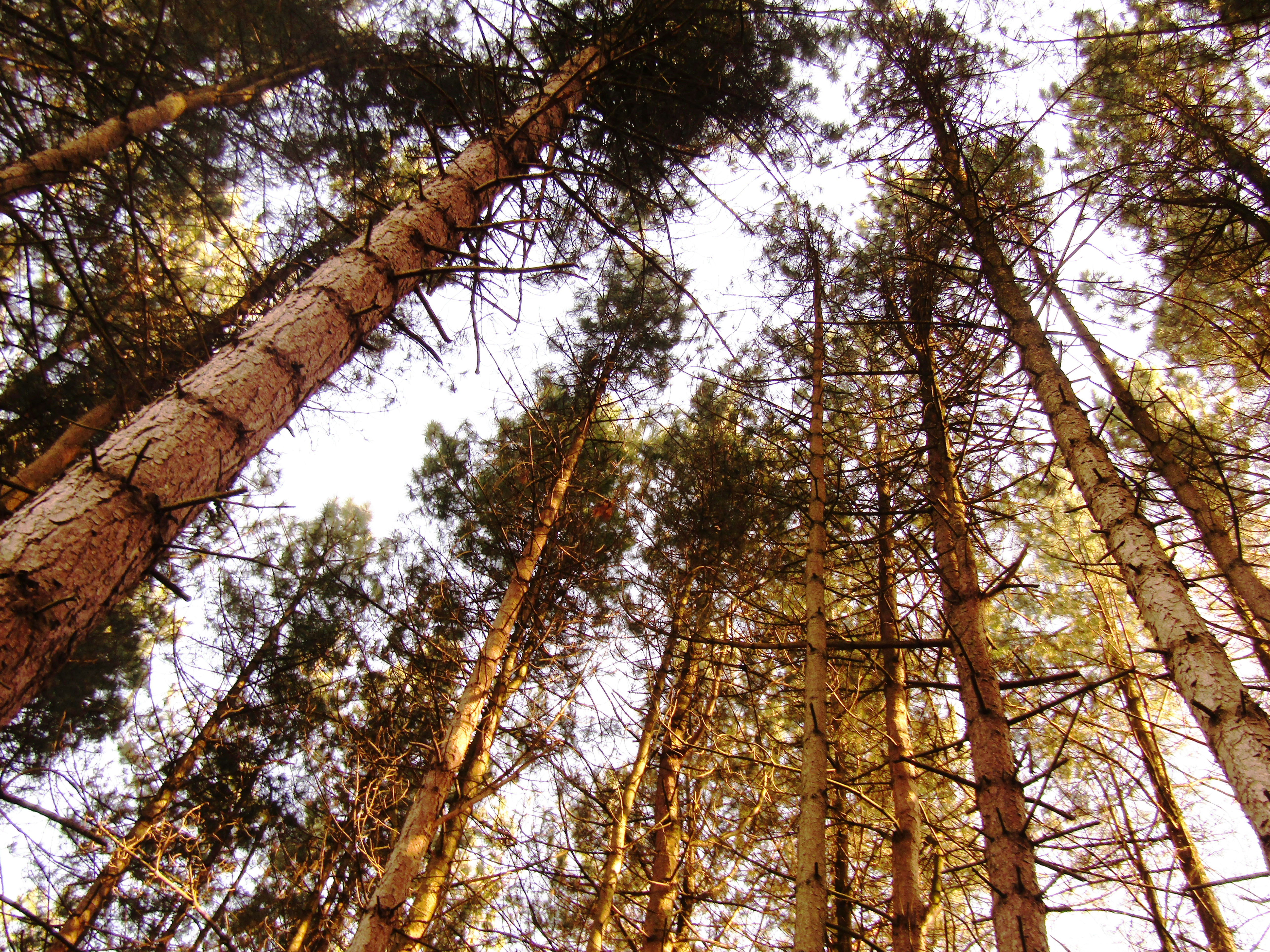 Photo by _jack_wilson_