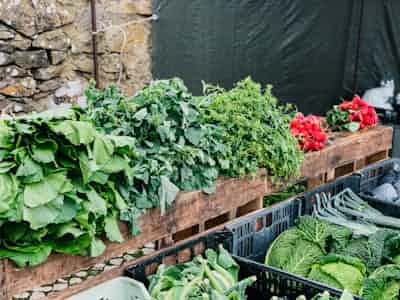 Tabel med kalorier i grøntsager 🥦
