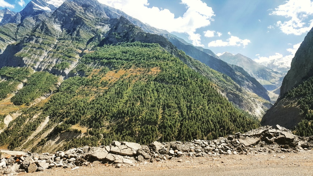 green trees on mountain under blue sky during daytime