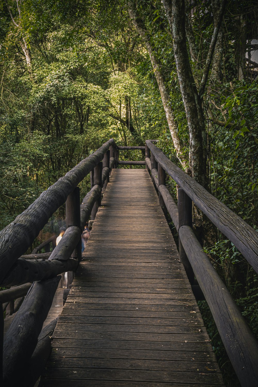 brown wooden bridge in forest during daytime