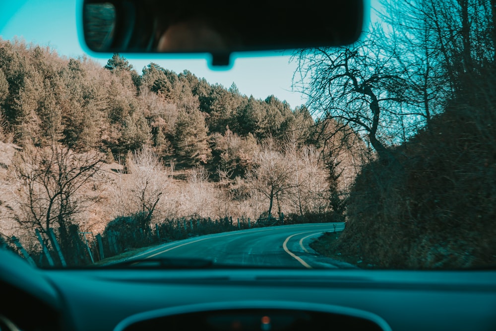 car on road between trees during daytime